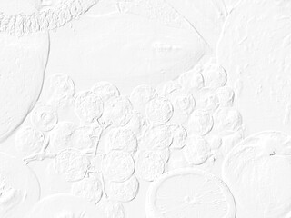 embossed image of fruits 
