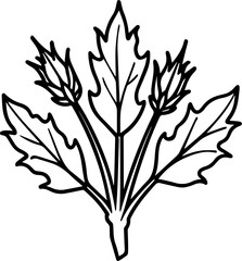 chicory vegetable outline coloring book page line art vector illustration