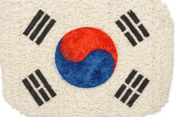 Textured South Korean flag of rice grains, isolated on transparent background.