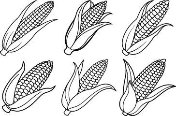 Set of corn on the cob outline vector illustration vector illustration line art