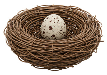Isolated Bird Nest with Spotted Egg Inside