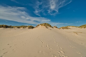 Schoorlsen Dünen in Nordholland