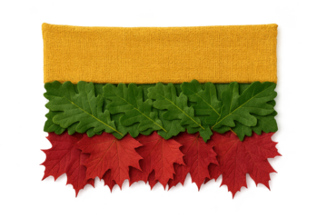 Lithuanian flag concept with natural elements isolated on transparent background