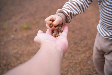 hand holding a Pebble