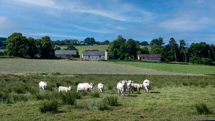 Fototapeta premium Paysage rural de la région bourguignonne du Morvan autour de Mesvres