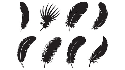Elegant Feather Icon Set 8 Silhouettes for Design Projects