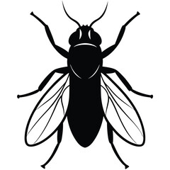 Top Down Silhouette Vector Illustration of a Housefly Insect Pest Control