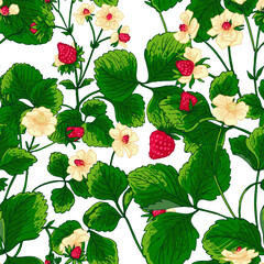 Pattern vector Strawberry berries color line. Summer flowers and berries. Harvest, farm products.