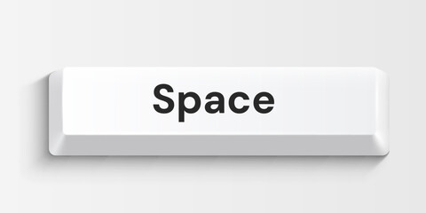 White computer space key on white background. Vector illustration