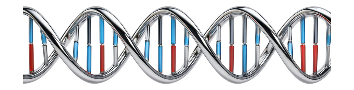 DNA sequence alignment with highlighted conserved regions and variable sites