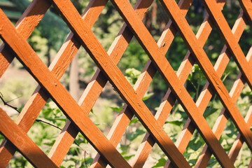 Wooden lattice fence with sunlight filtering through in a garden.