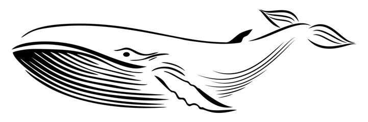line art illustratiom background blue whale