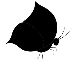 Butterfly. Side view. Crawl. Silhouette. Vector illustration. Garden insect with wings, antennae and legs. Cartoon. Isolated white background. Idea for web design.
