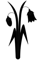 Bellflower flower and bud. Silhouette. Spring flowers, grass and big leaves. Vector illustration. Cartoon. Blooming plant. Isolated white background. Idea for web design, invitation, postcard.