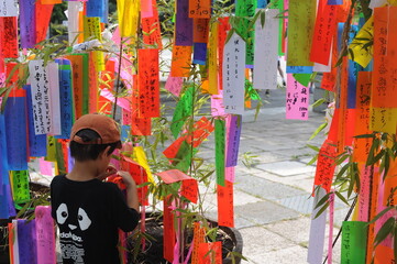 Tanabata festival (Star Festival) in Japan. Colorful paper tags called tanzaku with written wishes hanging on bamboo branches in summer.