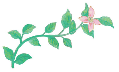 花のスケッチ素材。ベクターイラスト素材。