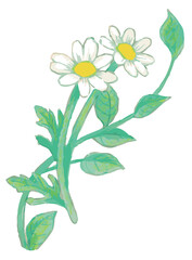 花のスケッチ素材。ベクターイラスト素材。