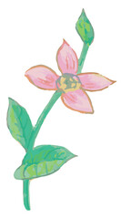 花のスケッチ素材。ベクターイラスト素材。