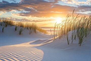 Sand Dunes with Tall Grasses at Sunset