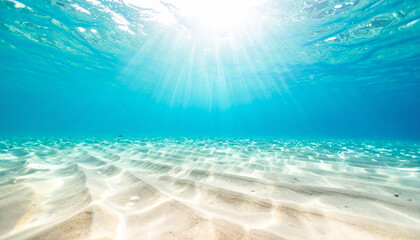 summer sea image