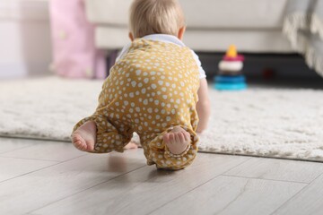 Cute little baby crawling on floor at home, back view