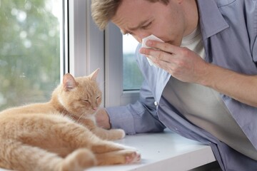 Man suffering from allergy with his cat near window at home