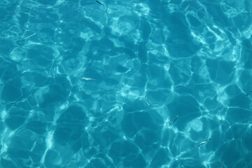 Sea water bright turquoise blue and fish in water, top view, background image