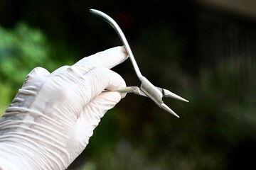 Close-up of dental tools used by dentistry students or interns during clinical practice. Includes...