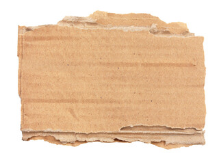 Torn piece of corrugated cardboard / transparent background	