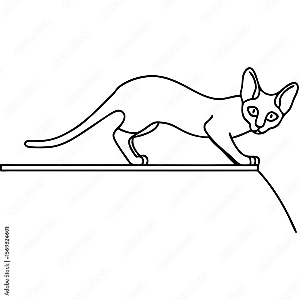 Poster abyssinian cat on shelf in simple line art, sleek feline with distinctive features. abyssinian cat o