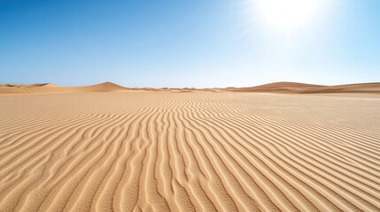Endless sand plain with rippling patterns under bright sun creates serene atmosphere