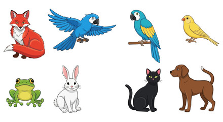 Vector cartoon animals illustration fox parrot canary frog rabbit cat dog vector drawing educational resource art