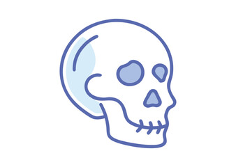 A human skull Vector, skull Icon Illustration