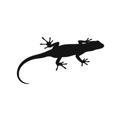 Silhouette of a lizard against a white background, showing details.