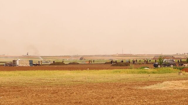 Syrian farmers harvest green wheat (freekeh) and burn it in open fields to process the grain. This rare tradition reflects ancient food preparation methods and rural life in the Middle East.