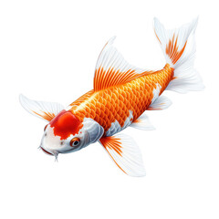 Beautifully detailed orange and white koi fish swimming gracefully isolated on transparent background