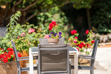 Table de jardin entourée de rosiers en fleurs rouges et roses