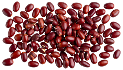 Baru Nuts PNG  Healthy Superfood Snack on Transparent Background PNG