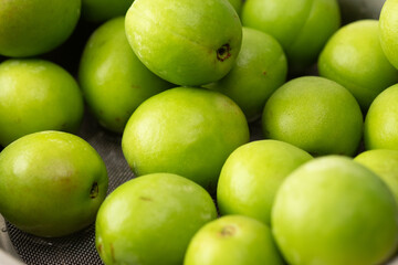 青梅を水で洗ったあと水を切っているところ