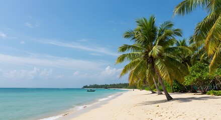 Tranquil Beach Scene Framed by Palm Trees
