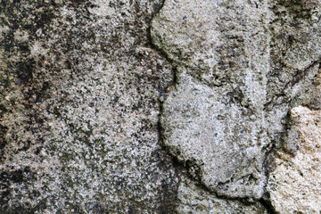 Detailed Texture of Old Concrete Wall