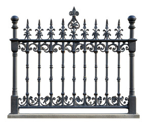 Vintage Black Iron Fence: A striking display of classic wrought iron craftsmanship, a timeless, ornate fence with intricate detailing. A testament to enduring design.