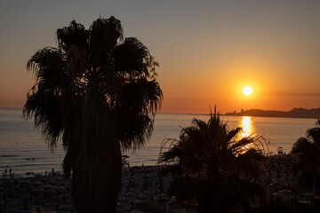 silhouetted palm trees frame a vibrant orange and yellow sunset over a calm ocean, with a distant...