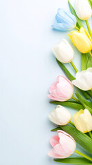 Pastel Harmony: Soft Tulips in Gentle Light