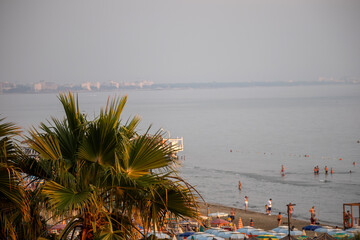 tranquil evening beach scene with palm trees and swimmers