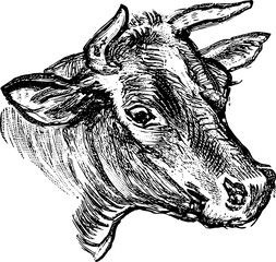 Vintage Farm Animals clipart, farmyard animal Illustrations, clipart for farmers, farm line drawings