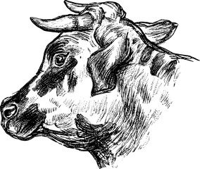 Vintage Farm Animals clipart, farmyard animal Illustrations, clipart for farmers, farm line drawings