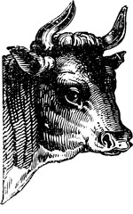 Vintage Farm Animals clipart, farmyard animal Illustrations, clipart for farmers, farm line drawings