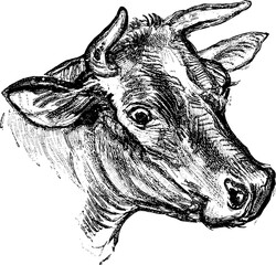 Vintage Farm Animals clipart, farmyard animal Illustrations, clipart for farmers, farm line drawings