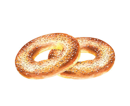 Watercolor illustration of two round bagel with sesame seeds. Food sketch hand drawn, isolated on white background. Fresh bakery drawing clipart.